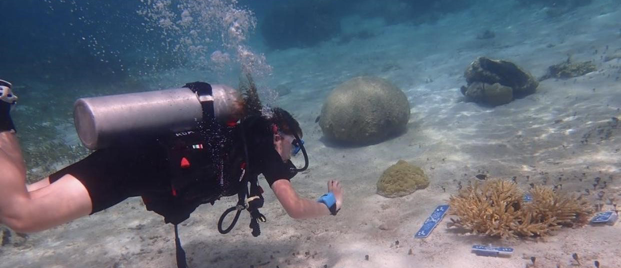 student taking pictures of corals